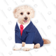 Business Suit for Pet | $23 | Amazon
